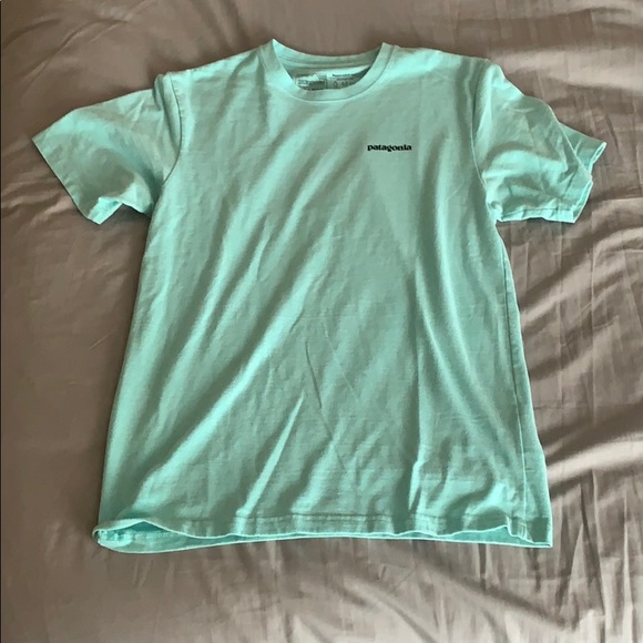 Patagonia Other - Patagonia t-shirt